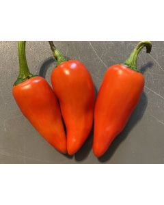 Hot Pepper ‘Hawaiian Sweet Hot' AKA 'Waialua' Seeds (Naturally Grown)