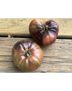 Tomato 'Rebel Starfighter Blane’s Moonlight' Seeds