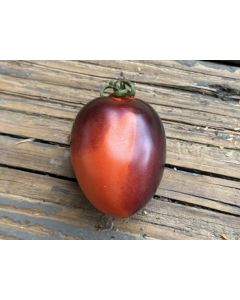 Tomato 'Blue Marzano' Seeds