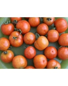 Tomato 'Large Red Cherry' Seeds