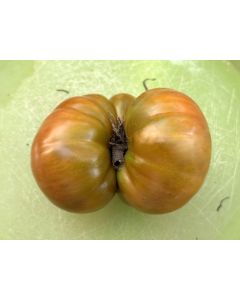 Dwarf Tomato 'Tasmanian Chocolate' Seeds