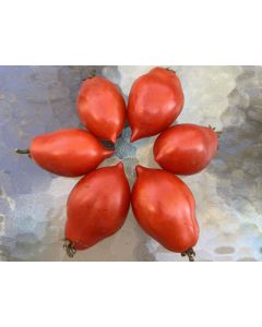 Tomato 'Ropreco Paste' Seeds (Certified Organic)