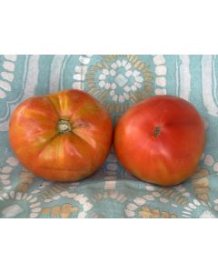 Tomato 'Donskoi' Seeds