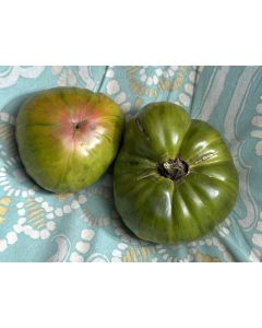 Tomato 'Harvard Square' Seeds