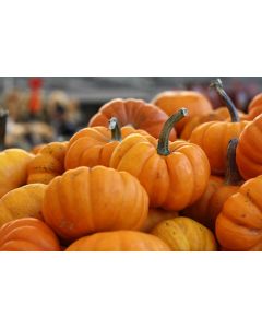 Pumpkin 'Jack Be Little'