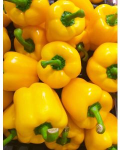 Sweet Pepper ‘Mini Yellow Bell’ Seeds (Naturally Grown)