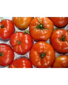 Tomato 'Beefmaster F2' Seeds (Naturally Grown)