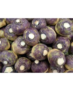Rutabaga 'American Purple Top'