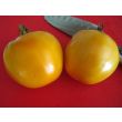 Tomato 'Golden Jubilee' Seeds (Certified Organic)