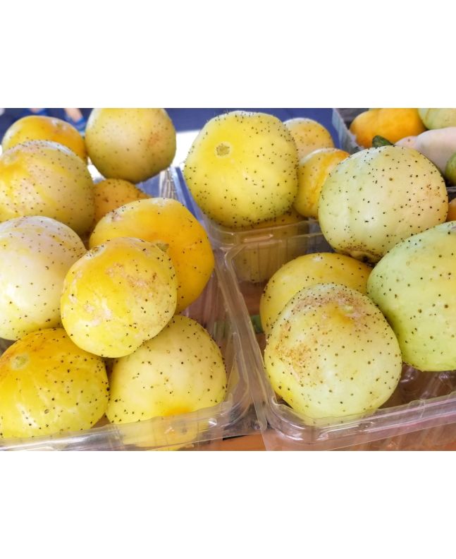 Cucumber 'Lemon'