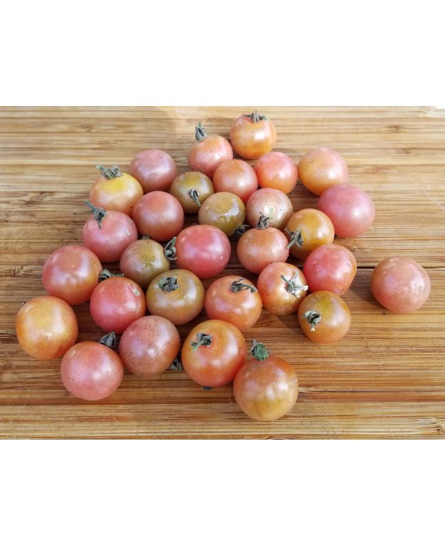 Tomato 'Napa Rose Blush' Plant