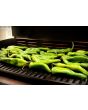 Hot Pepper ‘Hatch Sandia G76’ Seeds (Certified Organic)
