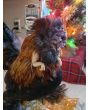 3D Printed T-Rex Dinosaur Arms for Chickens and Roosters 
