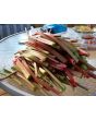 Rhubarb