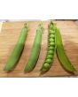 Pea 'Jumbo' Seeds (Certified Organic)