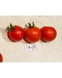 Tomato 'Idyll' Seeds