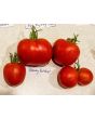 Tomato 'Bloody Butcher'