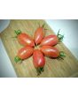 Tomato 'Maglia Rosa' 