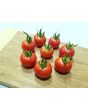 Tomato 'Resi Pink' 
