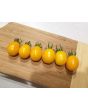 Tomato 'Chang Li' Seeds (Certified Organic)