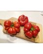 Tomato 'Costoluto Genovese'