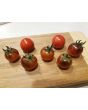 Tomato 'Blue Pitts' 