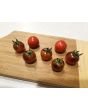 Tomato 'Blue Pitts' 
