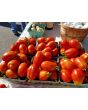 Tomato 'Heidi' 