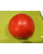 Tomato 'Pete's Italian Paste' 