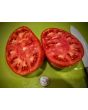 Tomato 'Pete's Italian Paste' 