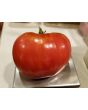 Tomato 'Pink Honey' AKA 'Rozovyi Myod' 