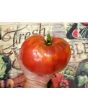 Tomato 'Pink Honey' AKA 'Rozovyi Myod' 