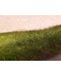 Mao Qua AKA Fuzzy Gourd 
