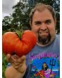 Tomato 'Watermelon'