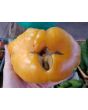 Tomato 'Orange Jazz' 