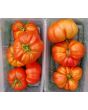 Tomato 'Sicilian Saucer' 