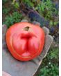 Tomato 'Red Monkey Ass’ 