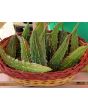 Bitter Melon Seeds (Certified Organic)