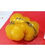 Tomato 'Pineapple Pig' 