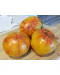 Tomato 'Copia' 