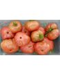 Tomato 'Chocolate Stripes Cross' Seeds (Certified Organic)