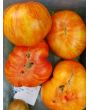 Tomato 'Solar Flare' 