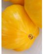 Tomato 'Orange Jazz' 