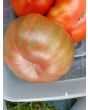 Tomato 'Chloe' Seeds