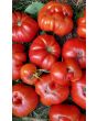 Tomato 'Sicilian Saucer' 