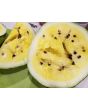 Watermelon 'Early Moonbeam'