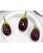 Eggplant ‘Mumbai’