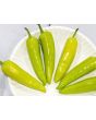 Hot Banana Pepper 'Hungarian Yellow Wax'