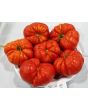 Tomato 'Sicilian Saucer' 