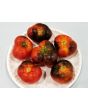 Tomato 'Indigo Apple'